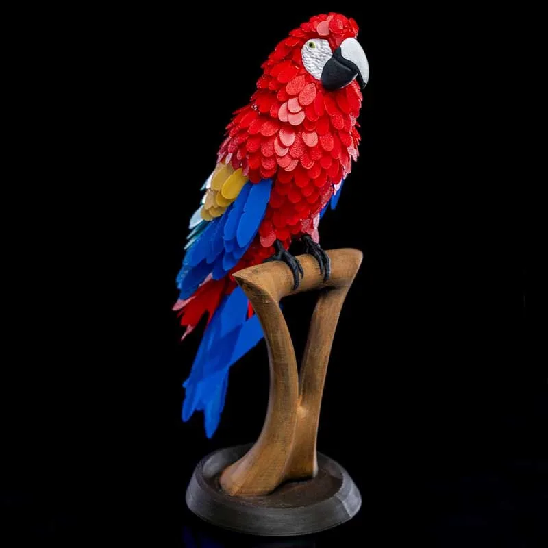 macaw